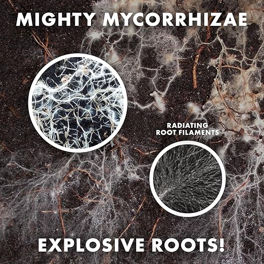 Organic 5 oz Mycorrhizae 16 Species Inoculant Treats 6,000 4-Inch Plants. Explodes Root Growth, Saves Water. Allow Your Plants, Garden and Trees to Thrive!