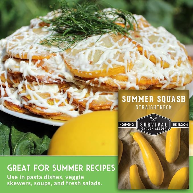 Survival Garden Seeds - Straightneck Summer Squash Seed for Planting - 1 Packet with Instructions to Plant and Grow Yellow Squash in Your Home Vegetable Garden - Non-GMO Heirloom Variety