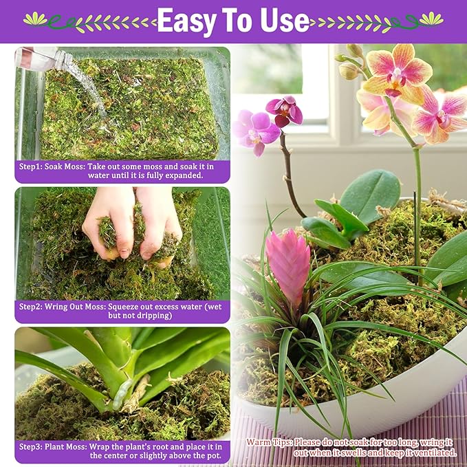 Riare 3.3LBS Premium Sphagnum Moss for Plants- 60QT Natural Dried Plant Moss for Potted Plants, Orchid Moss for Repotting, Soft Green Decorative Moss for Succulents, Reptiles & DIY Crafts