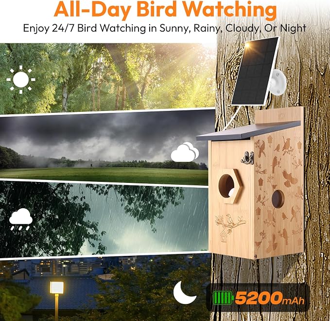Smart Bird House with Camera – Bamboo Carving, AI Bird Recognition,IP66 Waterproof, Two-Way Audio, App Control,4MP Full-Color Night Vision,Solar-Powered,Cloud & SD Storage (Solar Birdhouse)