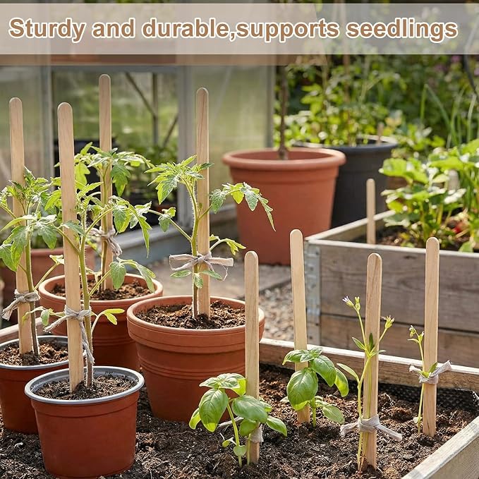 Weysat 200 Pcs 12" Wood Plant Labels for Field or Containers Plant Tags Wood Garden Labels for Seedling Stakes Markers Nursery Seed Tags with Smooth Surface for Pot Herbs Flowers Vegetables (Natural)