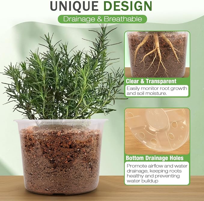 8 Inch Large Clear Nursery Pots with Drainage, 10 Pack Plastic Pots for Plants, Clear Plant Seedling Pots for Indoor & Outdoor Gardening (8 inch)