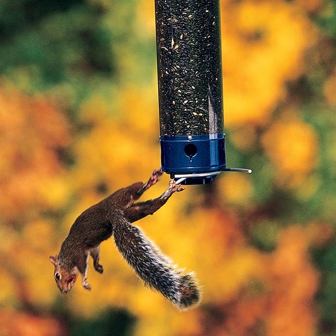 Droll Yankees Squirrel Proof Bird Feeders for Outdoors - Whipper, Collapsible Perches, 5-Pound Seed Capacity, Blue