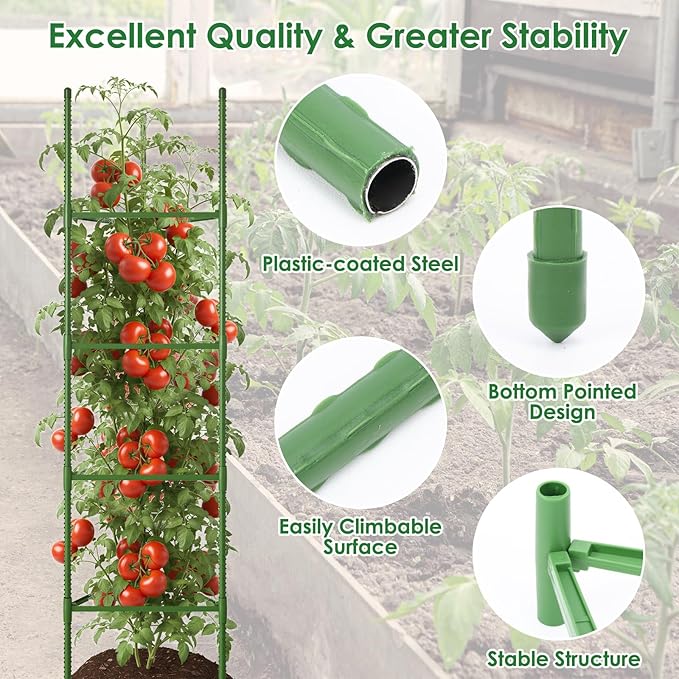 CEWOR Tomato Cage - 3 Pack Tomato Trellis, 63 Inch Tomato Cages for Garden, Extra Tall Plant Support Triangle Structures Garden Stakes for Climbing Plants Outdoor, Pots, Raised Garden Bed, Vegetables