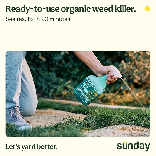 Sunday Weed Warrior, 32oz, 2 Pack - Grass & Weed Killer - Organic, Ready-to-Use Weed Killer Spray - Herbicide Spot Treatment - Kills Weeds, Grass, Algae and Moss