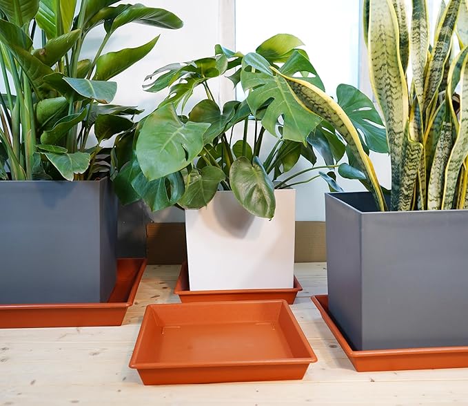NIMYAU Square Plant Saucer 12 Inch 5 Pack, Plant Stand Plant Trays for Pots Heavy Duty Plastic Plant Saucers for Indoors Outdoors, Flower Pot No Holes Terracotta Plant Lover Gardening Gifts