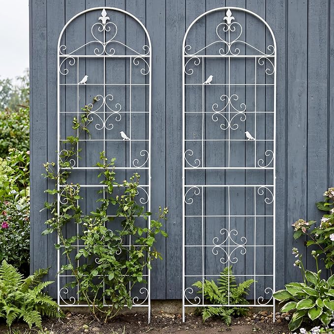 Garden Trellis for Climbing Plants Outdoor, Maidapulu 2 Pack 70.8x19.6 Inch White Metal Trellis - Rustproof Lattice Support Panel with Easy Assembly for Roses, Clematis, Cucumbers, Vegetable Garden