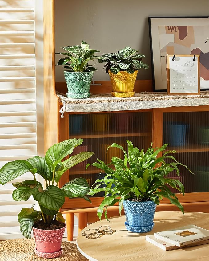 Metahom Ceramic Plant Pots, 5.8 Inch Flower Pots for Indoor Plants, Planters with Drainage Hole & Saucer, Garden Planters for Succulent, Orchid, Cactus, Home Decor, Set of 4, Assorted Colors