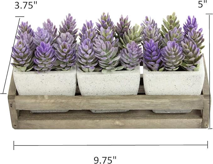 Admired by Nature 3pcs Succulents Terracota Rustic Style W/Wooden Tray Indoor Spring Summer Faux Plant décor, Wedding Centerpieces, Tabletop, Home Décor, Office Desk, Kitchen Table Décor, Green