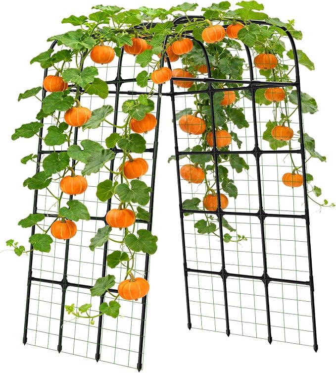 7FT Garden Trellis Arch for Climbing Plants – Tall Outdoor Metal Trellis for Vegetables, Peas, Tomatoes,﻿ Cucumber Trellis Arch & Vertical Garden Climber Plant Support for Vine Plants