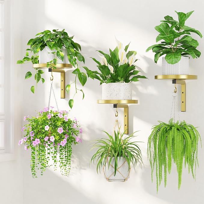 LASZOLA 3Pcs Wall Mount Plant Shelves with Hangers for Indoor Planters, Heavy Duty Metal Window Floating Flower Holders Stand for Kitchen Bathroom, Standard Gold