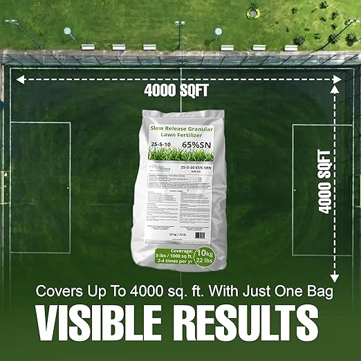 Slow Release Lawn Fertilizer 25-5-10 NPK - 65% Granular Nitrogen Formula for Deep Feeding up to 110 Days - 10kg (22lbs) Bag - Kid & Pet Safe Lawn Care for Lush Green Grass