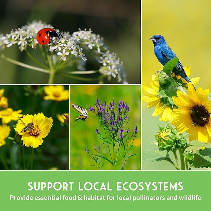 Native Wildflower Seeds for Planting 24 Variety Pack – Perennial & Annual North American Flowers for Butterfly & Bee-Friendly Pollinator Gardens – Non-GMO Heirloom – Survival Garden Seeds