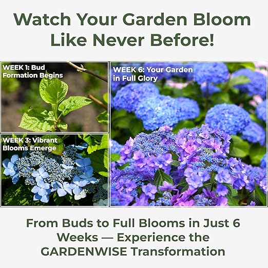 GARDENWISE Slow Release Hydrangea Fertilizer with Iron & Sulfur – Indoor & Outdoor Soil Acidifier for Miracle Growth (1/2 qt)
