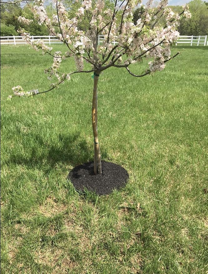 Rocky Mountain 24-Inch Tree Mulch Ring Weed Preventer (Pack of 4) - Recycled Heavy Duty Rubber - Mower Safe - No Landscape Staples Needed - Natural Look - Equal Water Seepage to Tree - Easy Install