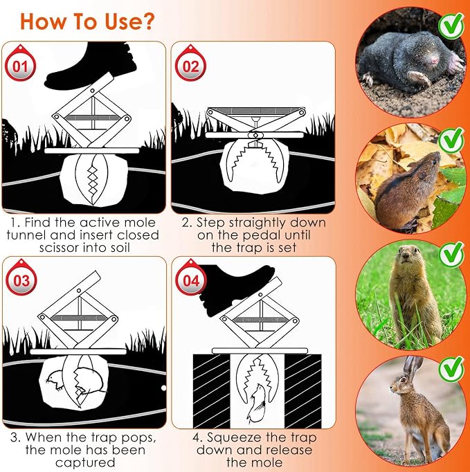 TeqHome 2 Pack Mole Traps, 2025 Upgraded Galvanized Steel Scissor Trap, Outdoor Reusable Gopher Traps Easy-Set Quick Capture Solution for Ground Moles and Gophers in Lawns Garden Yard (Silver)