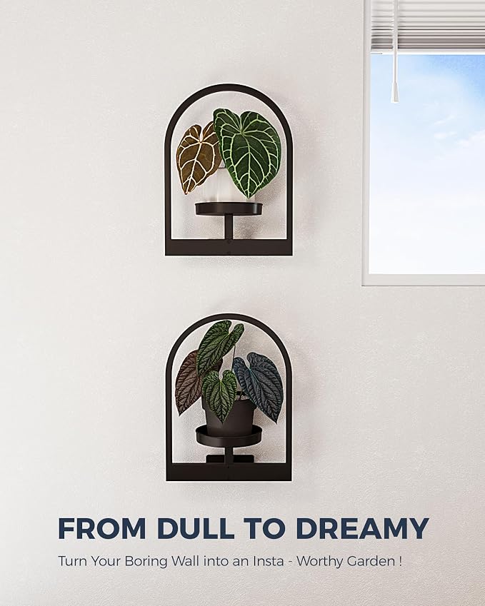 Bamworld Plant Stand Indoor, Plant Hanger Wall Planters for Indoor Plants Window Plant Shelves Plant Holder Wall Decor, Room Decor, Round (Patent Design)