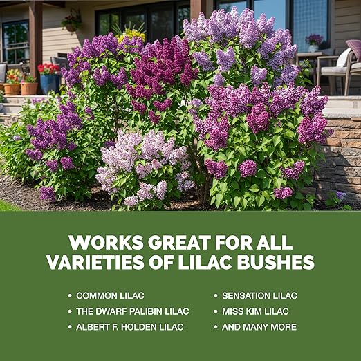 Lilac Fertilizer – Liquid Plant Food for More Blooms, Sweet Fragrance & Healthy Shrub Growth, 32 oz