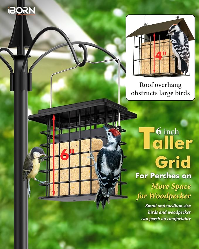 iBorn Double Suet Feeder,Suet Cake Cage Bird Feeder for Outdoors Hanging Easy-Clean & Refill,Black（Pack of 1）+ Hummingbird Feeder with 14 Bee Guard Ports,13 OZ,Red,2 Pack