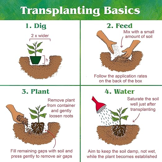 Down To Earth All Natural Fertilizers Organic Flower Garden - Plant Food for Blooming Annuals, Perennials and Flowering Shrubs 2-6-5, 5 lb