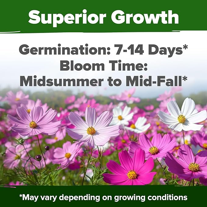HOME GROWN Cosmos Flower Seeds Bulk Pack for 2026 (1.8 oz) 8,000+ Heirloom Annual Wildflower Seeds Pollinator-Friendly Mix for Pollinators & Outdoor Gardens