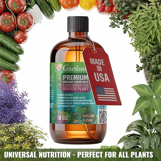 𝐁𝐄𝐒𝐓𝐒𝐄𝐋𝐋𝐄𝐑 Organic Liquid Kelp Fertilizer by GARDENERA - [32 OZ] - Organic Plant Superfood for Gardening - Concentrated Kelp & Seaweed Extract for Gardens, Lawns, Plants & Soil