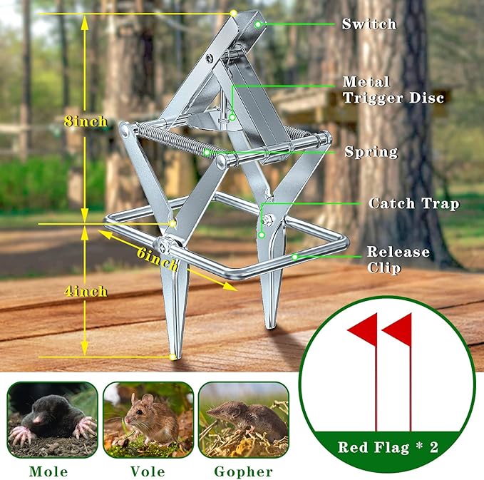 2 Pack Mole Traps that Kill Best, Vole Traps Outdoor Use Scissor for Lawns, Mole Trap Easy to Set Galvanized Steel Reusable Quick Capture Gopher