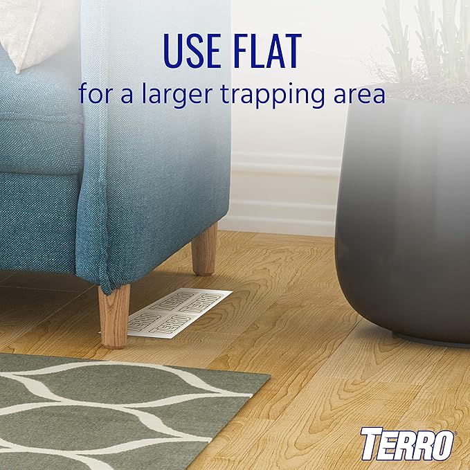 Terro T3206 Spider & Insect Traps Indoor, Insect Traps Indoor Sticky Pads, 4 Count (Pack of 1)