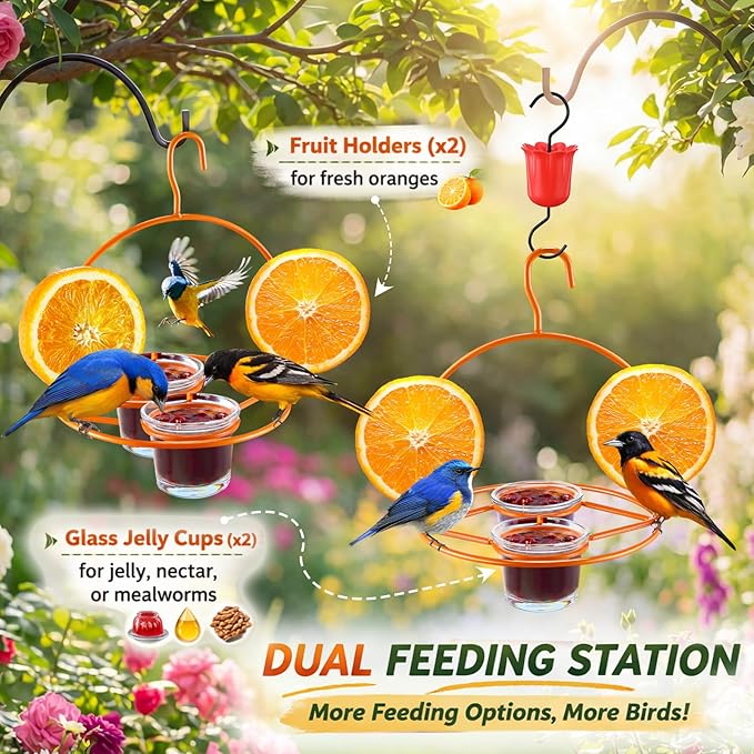 2 Pack Oriole Bird Feeder for Outdoors Jelly and Oranges, Hanging Oriole Feeder with Ant Moat & 2 Glass Cups & Cleaning Brush & Screwdriver, Metal Bird feeders for Outdoors for Jelly Nectar (2 Cups)