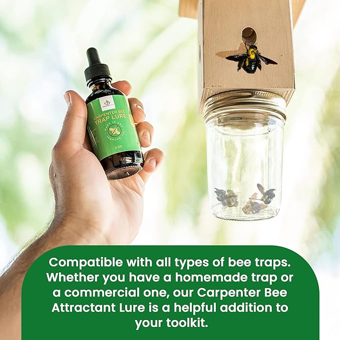 Donaldson Farms Carpenter Bee Attractant – Natural Bee Trap Lure for All Trap Types, Gentle on Honeybees, All-Year-Round Formula, 2oz