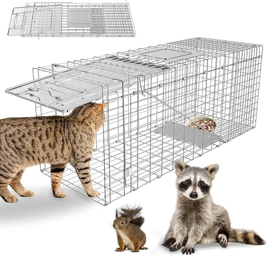Humane Live Animal Trap, Heavy Duty Folding Raccoon Traps Cage for Cat, Squirrel, Skunk, Raccoon, Fox Catch and Release Large Size 31.1 * 11 * 12.6 Inch