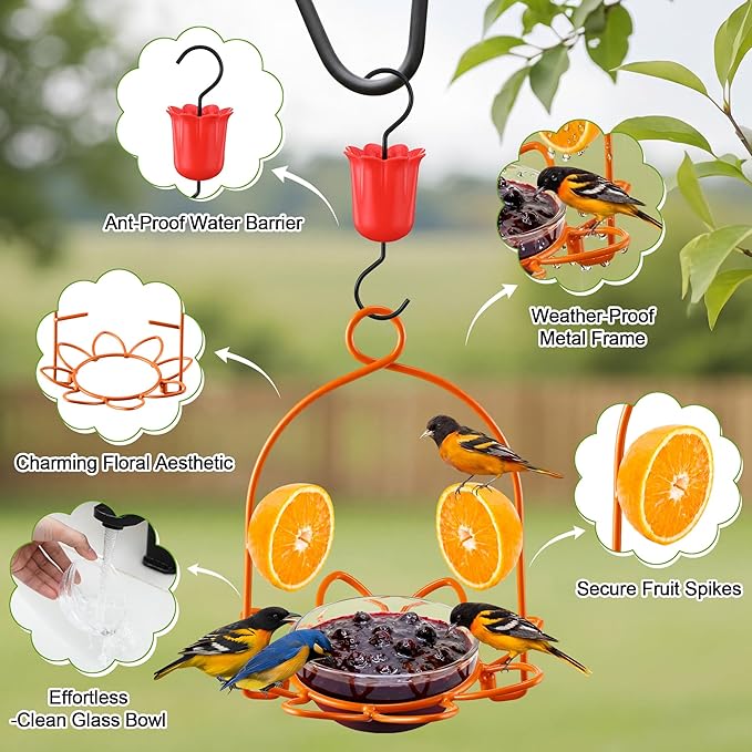 2 Pack Oriole Feeder for Outdoors, Metal Oriole Bird Feeder with Jelly Cup & Orange Pegs, Includes Ant Moat & Cleaning Brush, Hanging Bird Feeders for Backyard & Garden