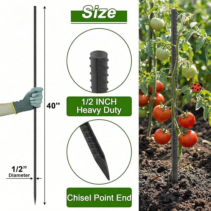AAGUT Rebar Stakes 40 Inch 10 Pcs, 1/2" Heavy Duty Straight Ground Garden Stakes Landscpe Timber Spikes with Chisel Point End for Cement, Concrete Form, Plant Support, Black