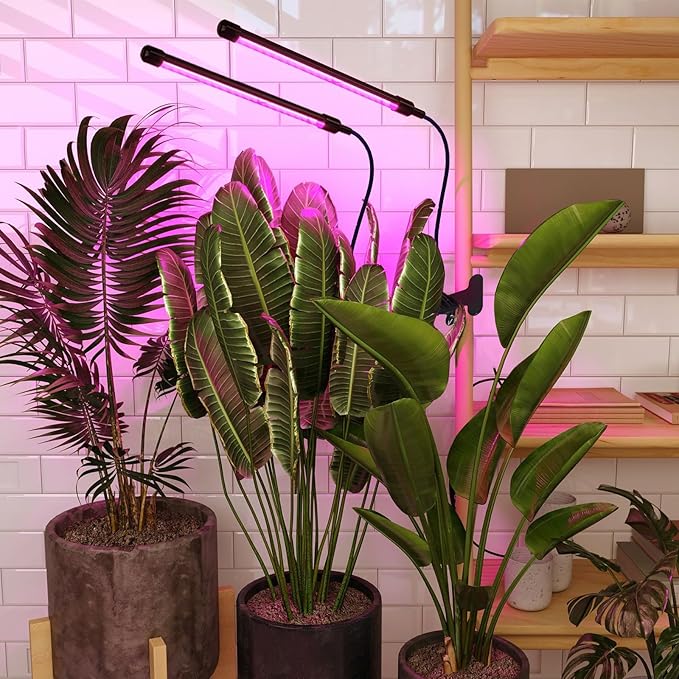 Solar Grow Lights with Batteries, 2 Heads Clip Plant Growing Lamp with Red Blue Spectrum for Indoor Plants, 3/9/12H Timer, 3 Dimmable Level, Adjustable Gooseneck,3 Switch Modes, Auto On Off