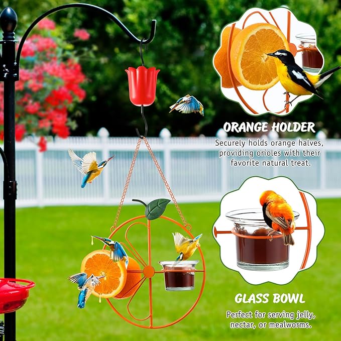 Baltimore Oriole Bird Feeder for Outdoors – Oriole Feeder with Ant Moat & Glass Bowl & Ant Moat & Cleaning Brush, Metal Hanging for Jelly, Nectar, Mealworms & Orange Halves(1 Pack)
