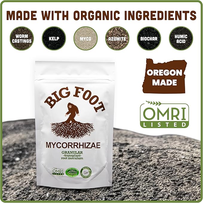 Big Foot Mycorrhizal Fungi Granular for Transplants - for All Plants - Easy to Use Root Stimulator - Treats 240 Plants (60K mycorrhizal Spores) - Double Your Plant Size - 2 Pounds