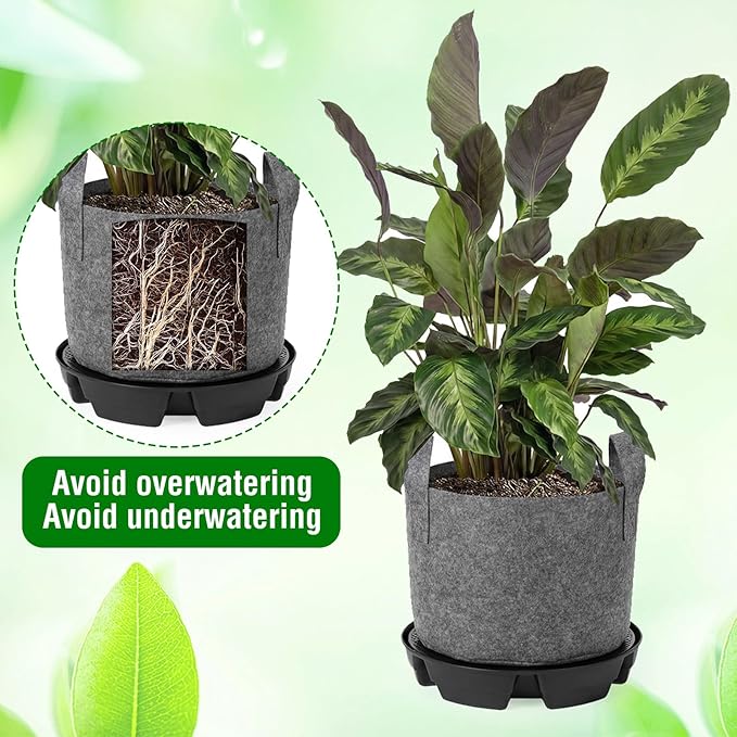Jingmore 6 Set Self Watering Fabric Pot Base 3 Gallon Plant Nonwoven Grow Bags Automatic Watering System Plant Saucer Elevated Flower Trays with Handles for Fruits Vegetables Flowers Grow(Grey)