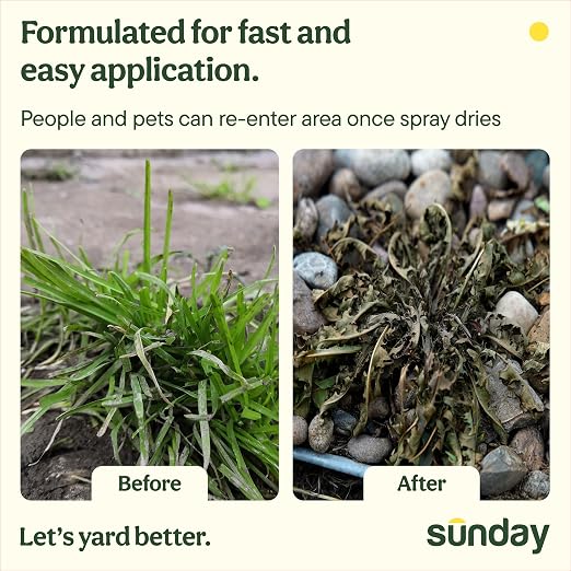Sunday Weed & Green + Weed Warrior Weed Control Kit, Pre-Emergent & Post-Emergent Lawn Weed Killer + Weed & Grass Killer, Kills Dandelion, Crabgrass, Clover, Chickweed, (2) 32 oz with Sprayers