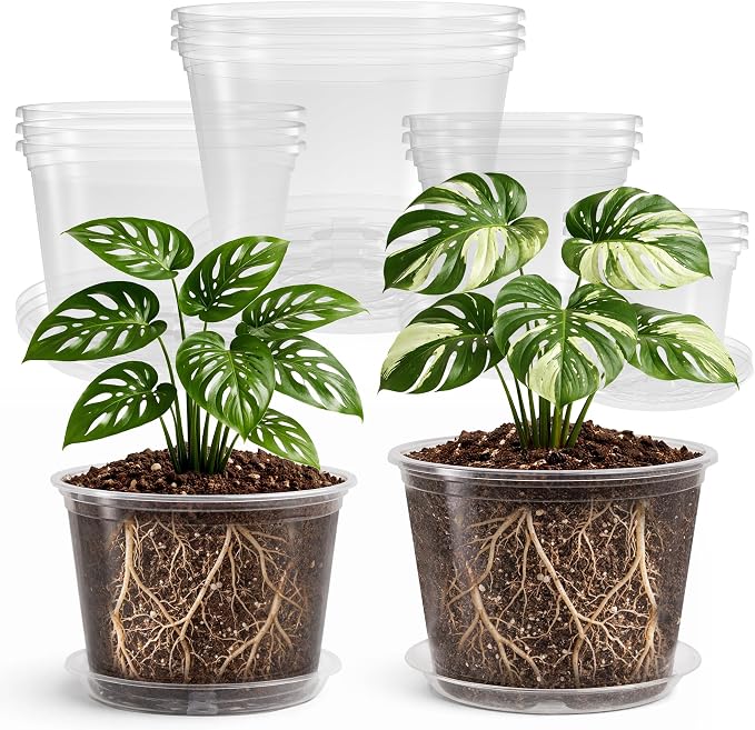 Bluepro 12 Pack 10/8/6/5 Inch Reinforced Large Clear Nursery Pots with Sacuers, Transparent Variety Pack Plastic Garden Pot with Drainage Holes for Vegetable Propagation, Root Cutting, Seed Starting