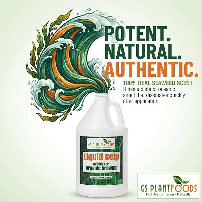 GS Plant Foods Liquid Kelp Fertilizer – Suitable for Organic Growing, OMRI Listed Seaweed Concentrate for Lawns, Gardens & Soil - 275 Gallons