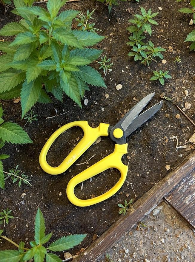 Garden Pruning Shears Scissors Carbon Steel Blades 7.6 Inch Craspedia - Yellow