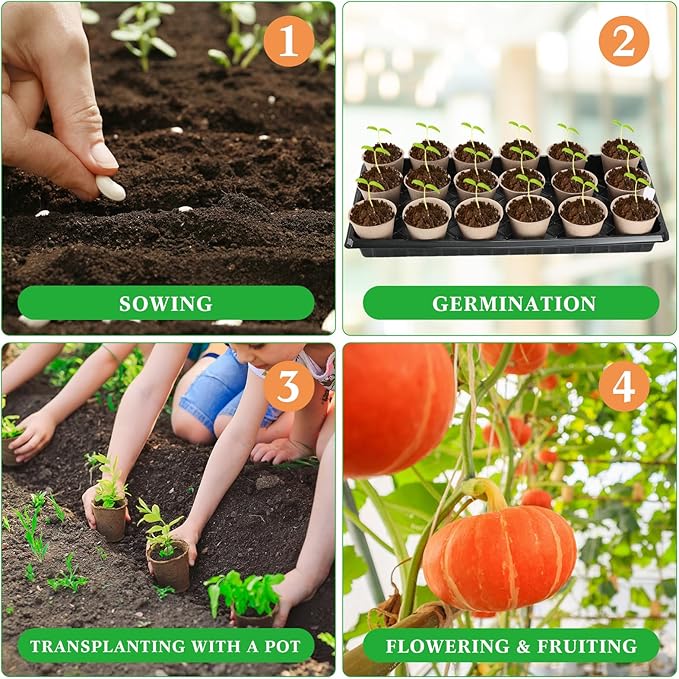 Vesici 220 Pcs Seed Starter Tray Kit Include 180 Peat Pots with Drainage Holes 10 Plastic Growing Trays, Plant Germination Trays for Seedling 30 Plant Labels for Greenhouse Seedling