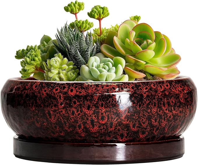 Succulent Planters 6 Inch - Ceramic Bonsai Pots with Drainage Hole and Saucer, Small Bonsai Planter, Round Planter Bowl, Shallow Plant Pots Indoor, Room Decor, Gifts for Plant Lovers, Red