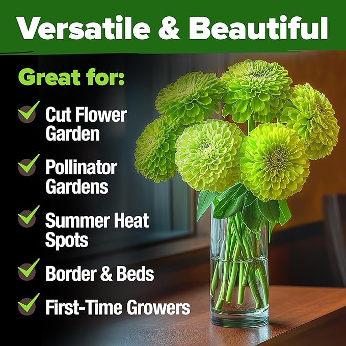 HOME GROWN Envy Zinnia Seeds (1g) – 500 Rare Lime Green Annual Zinnia Flower Seeds for Planting, Fast-Growing Heat-Loving Variety, Premium Herb Seeds Garden Companion for 2026 Blooms (Zinnia elegans)