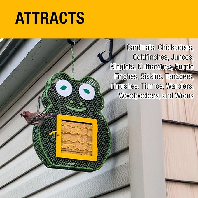 Heath Whimsical Frog Suet 'n Seed Bird Feeder for Suet Cakes and Sunflower Seeds with 2 Free Bird's Blend Suet Cakes Included