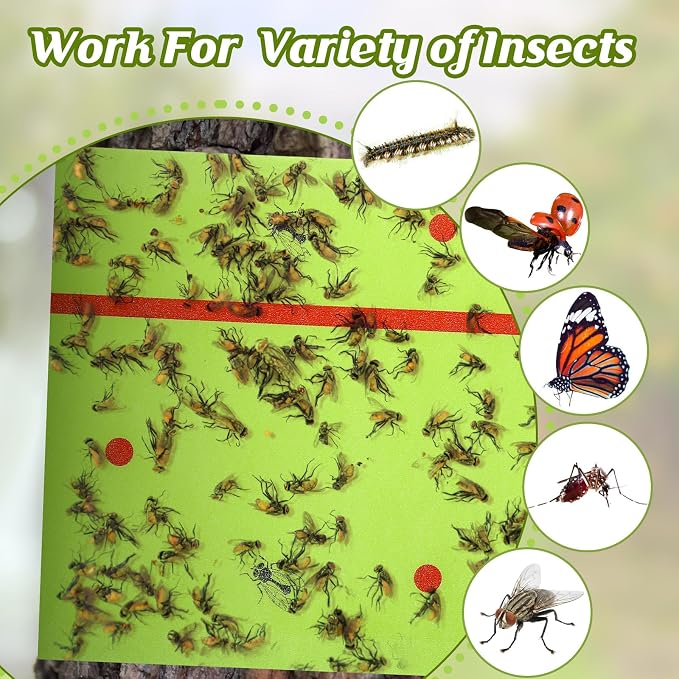 Qualirey 50 Rolls Spotted Lantern Fly Traps 30 Feet Each Roll Fly Tree Trap Sticky Strips Outdoor Fruit Glue Strips Disposable Tape Indoor Paper Sheets for Protecting Trees (Green)