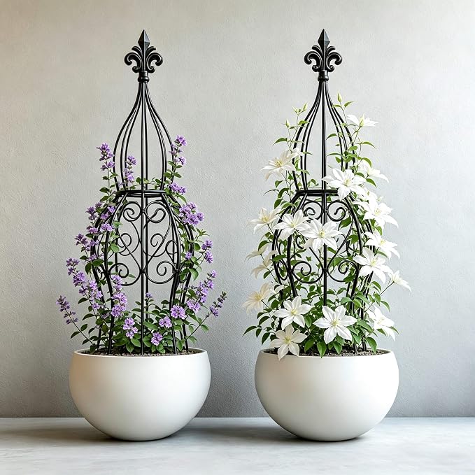 2-Pack Iron Garden Obelisk Trellis, 30" Rose Climbing Plant Support | Tool-free snap assembly; fits 9–12in pots, for roses clematis ivy vines, 2-pack patio balcony outdoor metal trellis