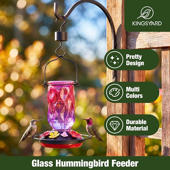 Kingsyard Glass Hummingbird Feeder for Outdoors + Kingsyard Glass Hummingbird Feeder for Outdoors