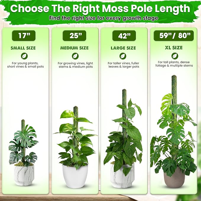 DUSPRO 2 Pack 42’’ Mesh Moss Pole for Climbing Plants, Natural Moss Pole Monstera Plant Support, Real Moss Poles for Plants Indoor, Moss Stick for House Plants, Moss Stakes for Climbing Plants