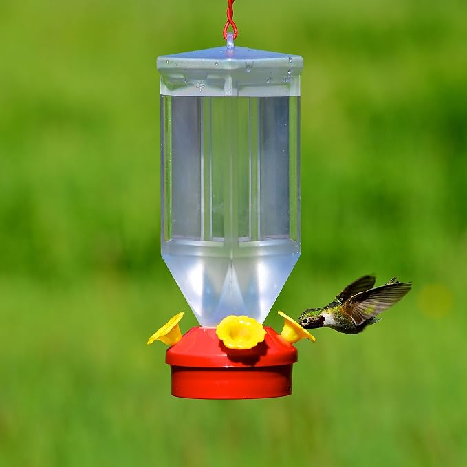 Perky-Pet 201 Lantern Hummingbird Feeder- 18 oz, Red, 6-Pack